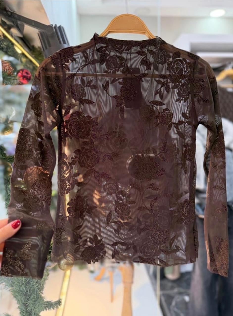 3c75a631-6b2a-4405-b44a-b6f8a6a1597c Brown Transparent Self Patterned Blouse - Image 1